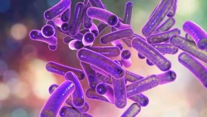 കോഴിക്കോട് കുറ്റിക്കാട്ടൂരിൽ മൂന്നര വയസുകാരി ഷിഗല്ല ബാധിച്ച് മരിച്ചു