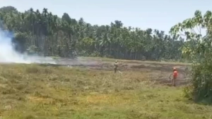 നടുവണ്ണൂർ മടുത്തുകുനി വയലിൽ തീപിടുത്തം; തീ അണയ്ക്കാനുള്ള ശ്രമം തുടരുന്നു