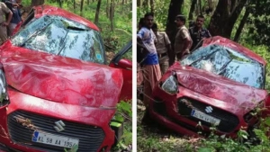 നെടുംപൊയിൽ ചുരത്തിൽ കാർ താഴ്ചയിലേക്ക് മറിഞ്ഞ് വയോധിക മരിച്ചു