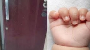 ഫ്‌ളാറ്റിലെ ഫ്രിഡ്ജില്‍ ഗർഭസ്ഥ ശിശുവിൻ്റെ മൃതദേഹം കണ്ടെത്തി