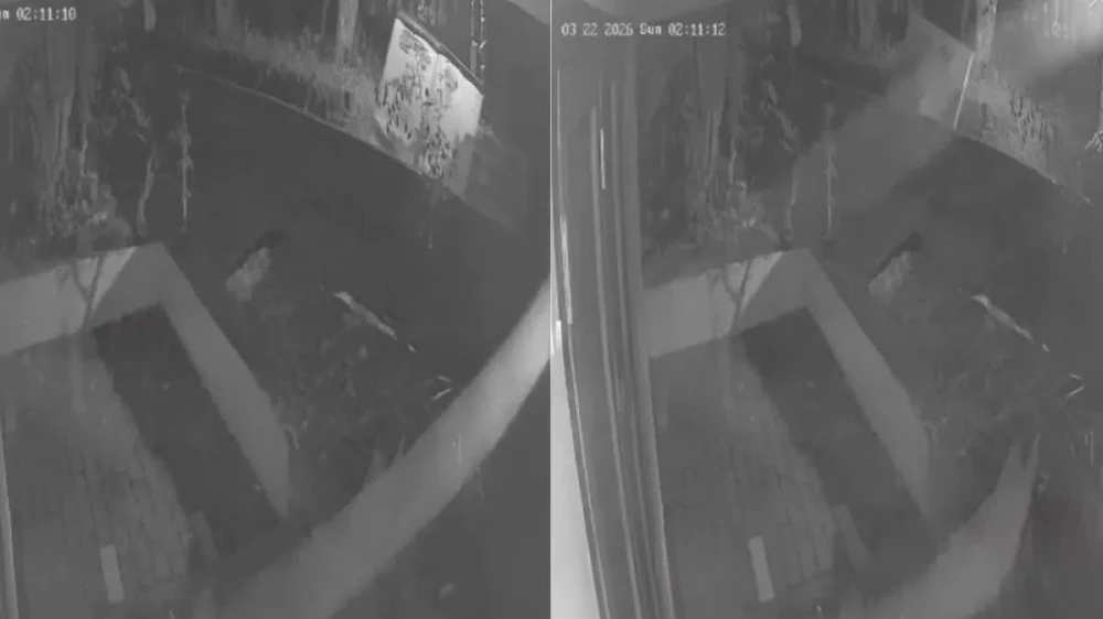  കുറ്റ്യാടിയിൽ എൽഡിഎഫ് സ്ഥാനാർഥി കെ.പി കുഞ്ഞമ്മദ് കുട്ടിയുടെ പ്രചരണ ബോർഡുകൾ  അഴിച്ചുമാറ്റിയതായി പരാതി