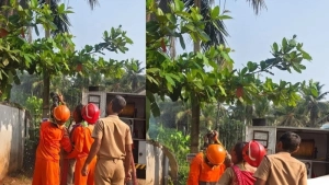 വടക്കുമ്പാട്  വീട്ടുമുറ്റത്തെ തെങ്ങിന് തീപിടിച്ചത് പരിഭ്രാന്തി പരത്തി