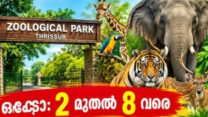
                        തൃശ്ശൂർ സുവോളജിക്കൽ പാർക്കിൽ വിദ്യാർത്ഥികൾക്ക് സൗജന്യ പ്രവേശനം