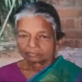 കൊല്ലത്ത് കാട്ടാന ആക്രമണത്തിൽ  എൺപതുകാരിക്ക് ദാരുണാന്ത്യം