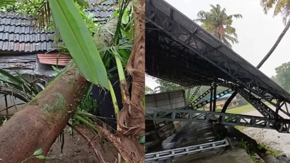 സംസ്ഥാനത്ത് കാറ്റും മഴയും : വലിയ നാശനഷ്ടങ്ങൾ