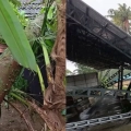 സംസ്ഥാനത്ത് കാറ്റും മഴയും : വലിയ നാശനഷ്ടങ്ങൾ