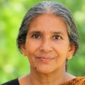 കടന്നൽ കുത്തേറ്റ  വയോധിക ചികിത്സയിലിരിക്കെ  മരിച്ചു.