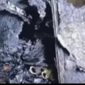 ടി വിക്ക് തീ പിടിച്ച് അപകടം വീടിന് നാശനഷ്ടം
