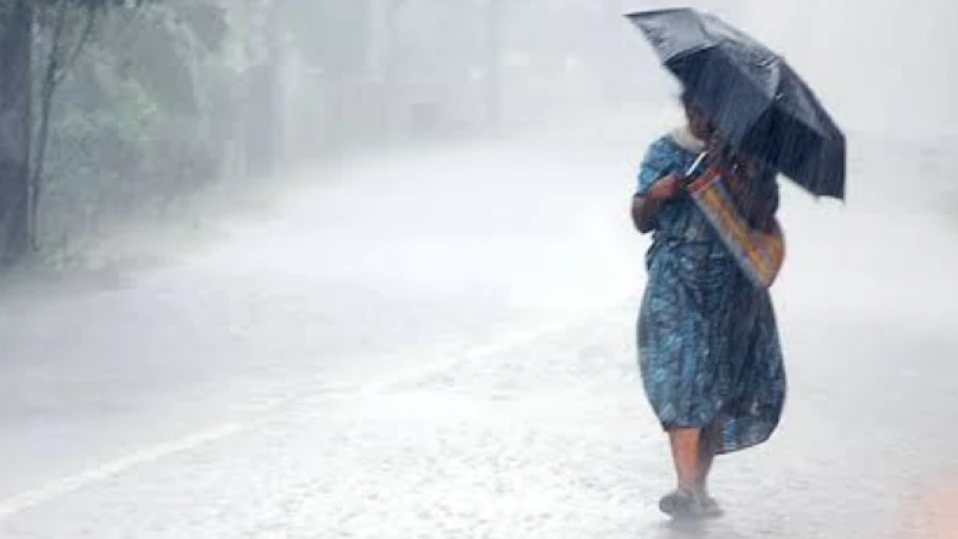  നാളെ കോഴിക്കോട് ജില്ലയിലെ വിദ്യാഭ്യാസ സ്ഥാപനങ്ങൾക്ക് അവധി