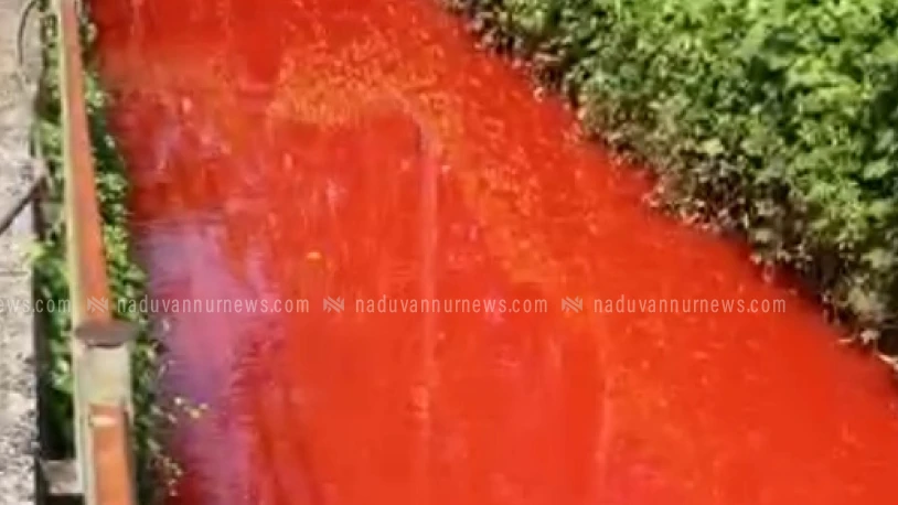 പേരാമ്പ്ര മരക്കാടി തോട്ടിൽ ചുവന്ന നിറത്തിൽ വെള്ളമൊഴുകിയത്പരിസരവാസികളിൽ ഭീതി പടർത്തി.