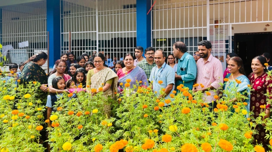  അവിടനെല്ലൂർ സ്കൂളിൽ ചെണ്ടുമല്ലി കൃഷി വിളവെടുത്തു