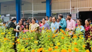 അവിടനെല്ലൂർ സ്കൂളിൽ ചെണ്ടുമല്ലി കൃഷി വിളവെടുത്തു