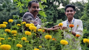 വീട്ടുമുറ്റത്ത് ചെണ്ടുമല്ലി കൃഷിചെയ്ത് വിദ്യാർത്ഥി മാതൃകയായി