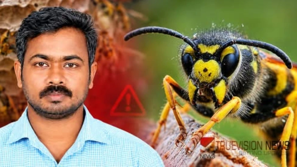  കടന്നൽ കുത്തേറ്റ് തെങ്ങ് കയറ്റ തൊഴിലാളി മരിച്ചു