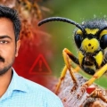 കടന്നൽ കുത്തേറ്റ് തെങ്ങ് കയറ്റ തൊഴിലാളി മരിച്ചു