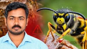 കടന്നൽ കുത്തേറ്റ് തെങ്ങ് കയറ്റ തൊഴിലാളി മരിച്ചു