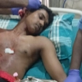 നാദാപുരത്ത് വന്യജീവി ആക്രമണത്തിൽ യുവാവിന് പരിക്ക്