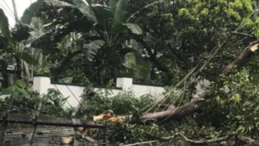 പൂനൂരിൽ റോഡിൽ മരക്കൊമ്പ് വീണ് ഗതാഗതം തടസ്സപ്പെട്ടു